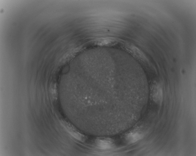 X0000062840510200601201641