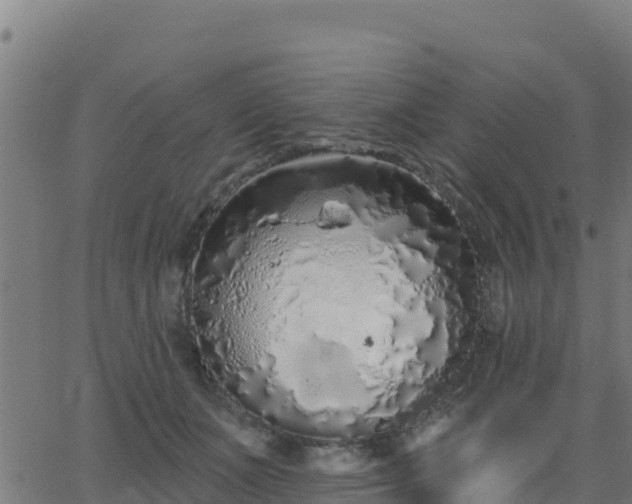 X0000062840511200601201641