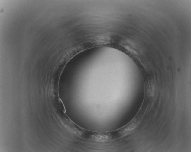 X0000062840512200601201641