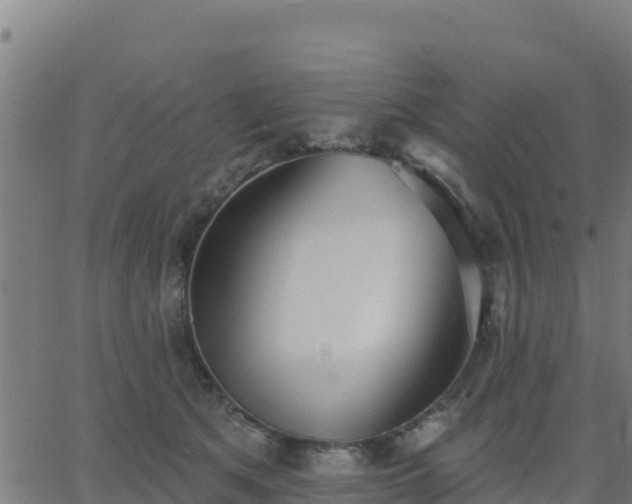 X0000062840513200601201641