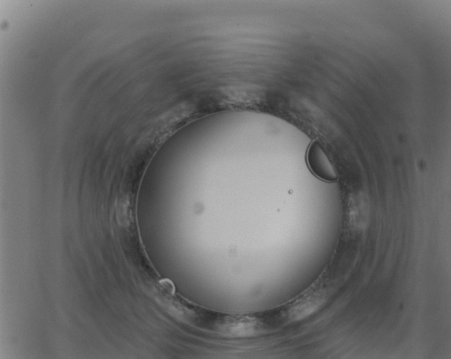 X0000062840514200601201641