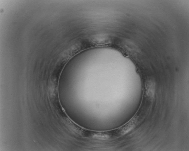 X0000062840515200601201641