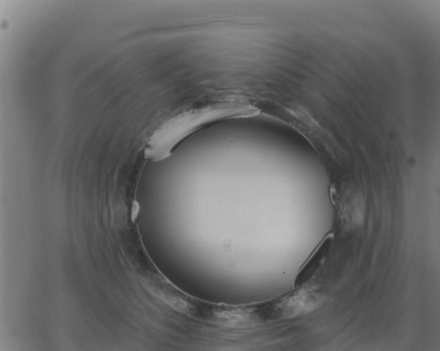 X0000062840516200601201641