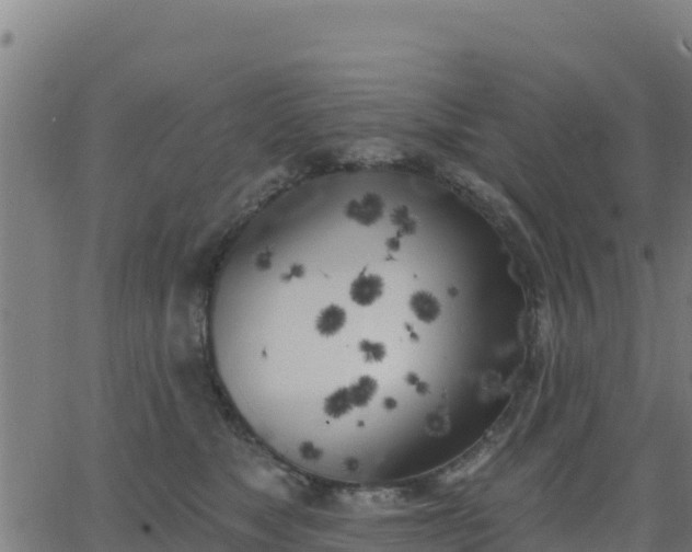 X0000062840517200601201641