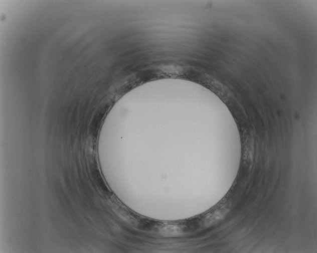 X0000062840518200601201641