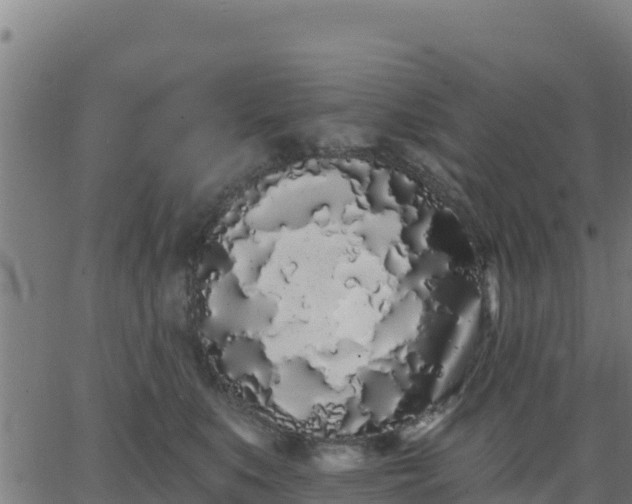 X0000062840519200601201641