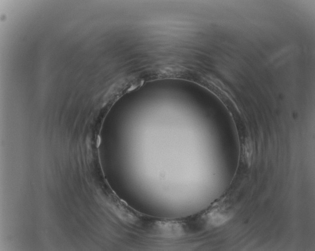 X0000062840520200601201641