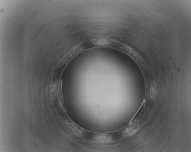 X0000062840521200601201641