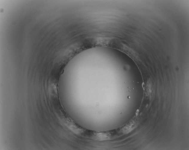 X0000062840522200601201641