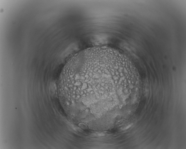 X0000062840523200601201641