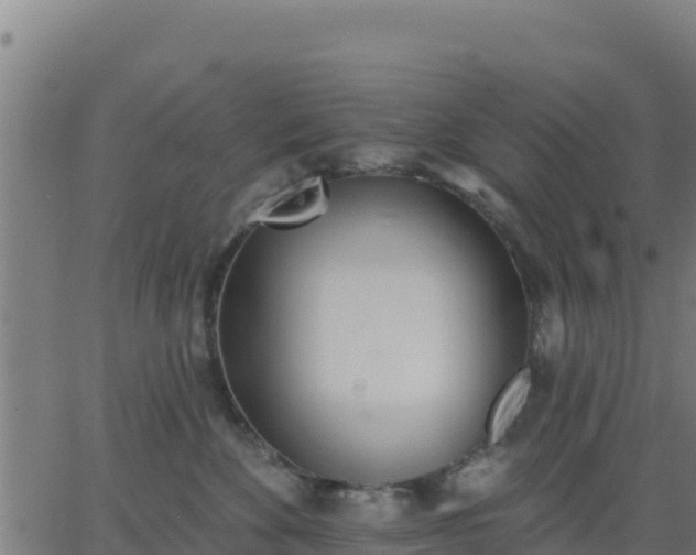 X0000062840524200601201641