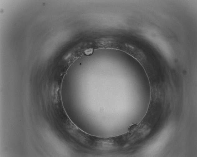 X0000062840525200601201641