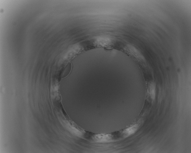 X0000062840526200601201641