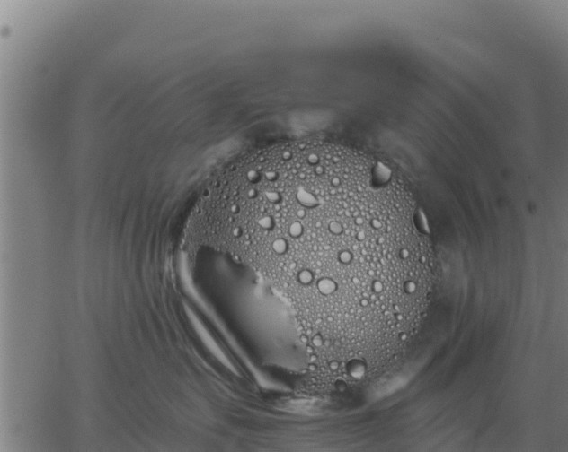 X0000062840527200601201641