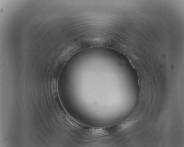 X0000062840528200601201641