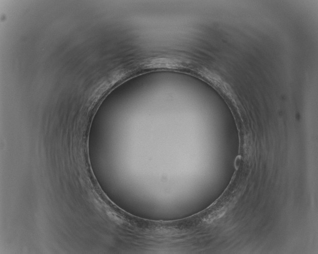 X0000062840529200601201640