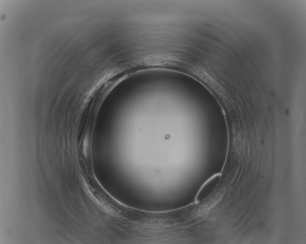 X0000062840530200601201640