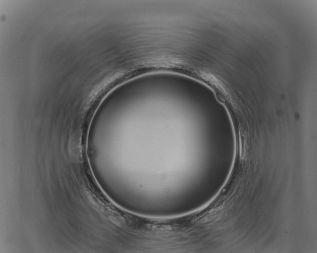 X0000062840531200601201640