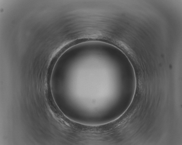 X0000062840532200601201640