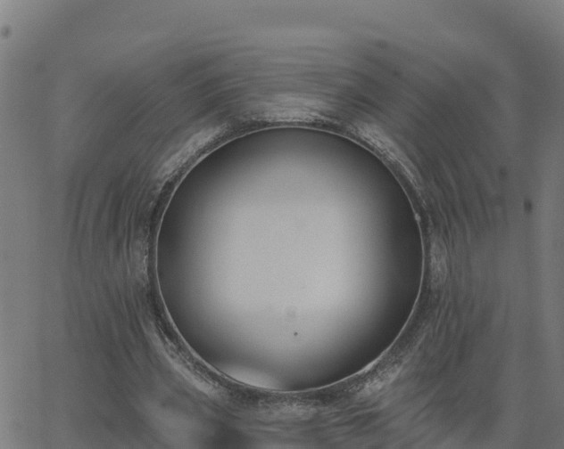 X0000062840533200601201640