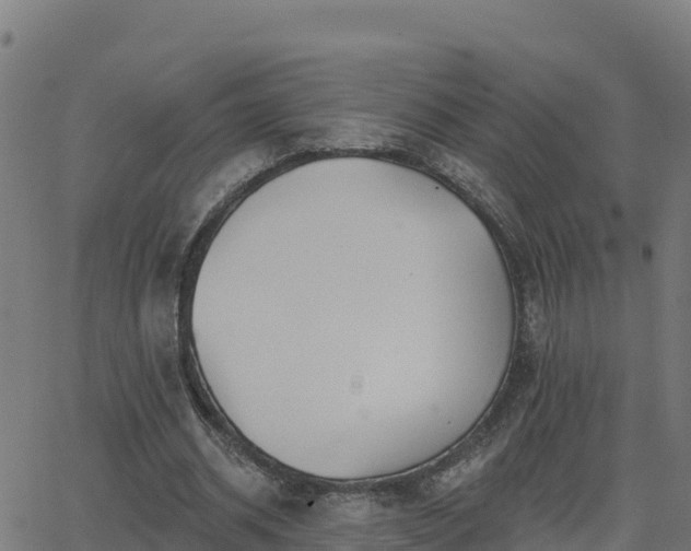 X0000062840534200601201640