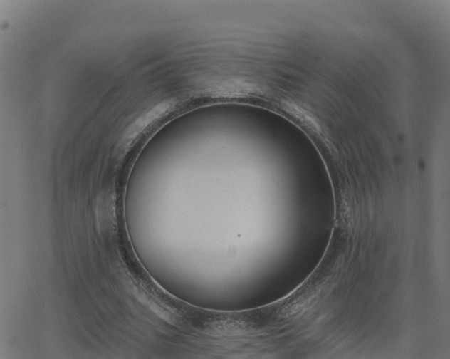 X0000062840535200601201640