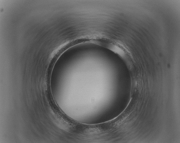 X0000062840536200601201640