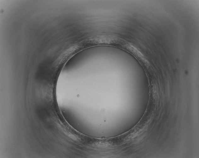 X0000062840537200601201640