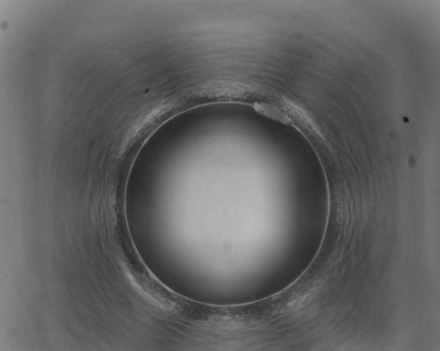 X0000062840538200601201640