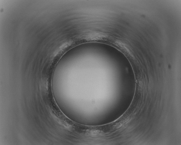 X0000062840539200601201640