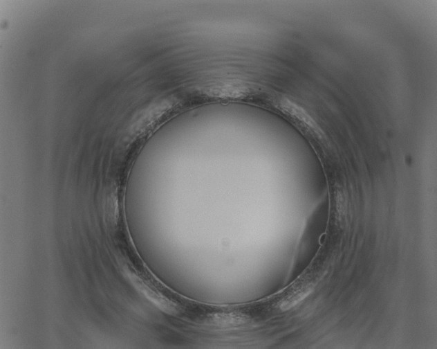 X0000062840541200601201640