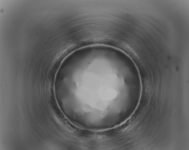 X0000062840542200601201640