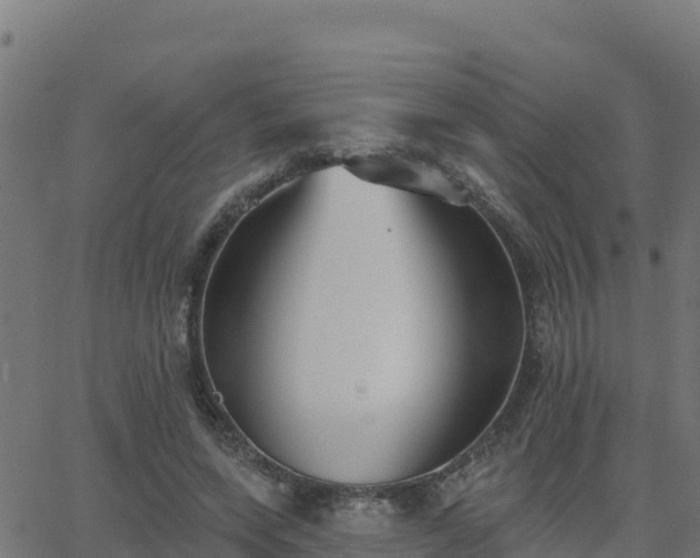 X0000062840543200601201640