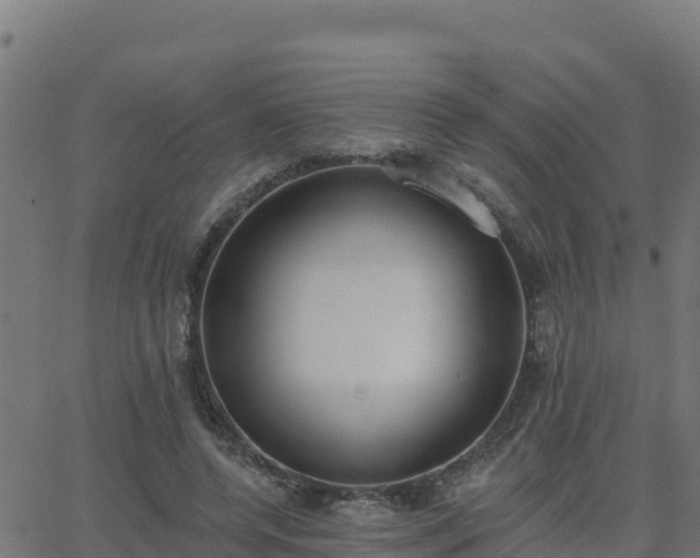 X0000062840544200601201640