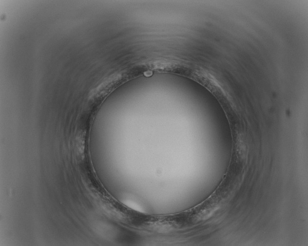 X0000062840545200601201640