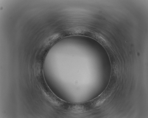 X0000062840546200601201640