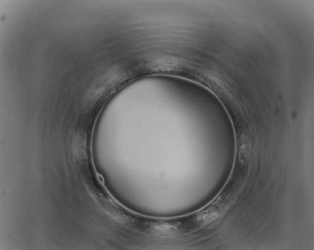 X0000062840547200601201640