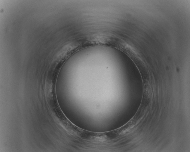 X0000062840548200601201640