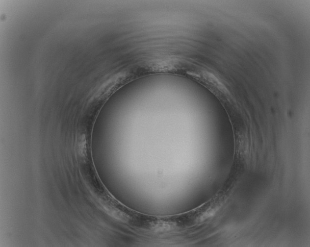 X0000062840549200601201640