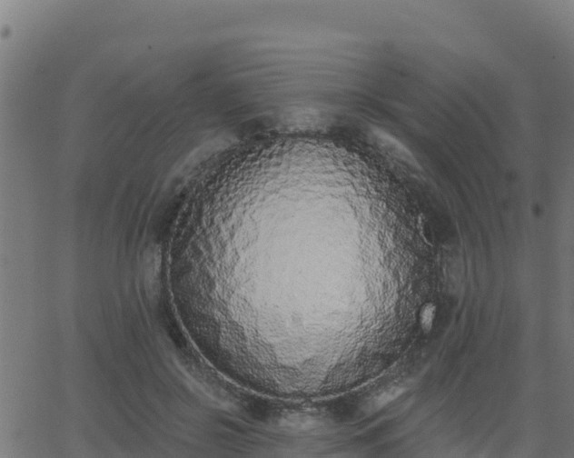 X0000062840550200601201640