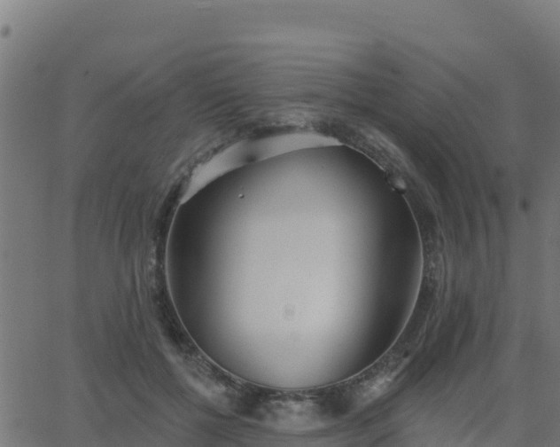 X0000062840552200601201640