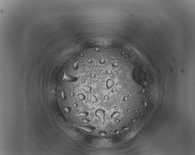 X0000062840553200601201641