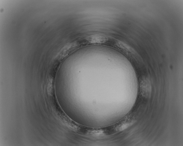 X0000062840554200601201641