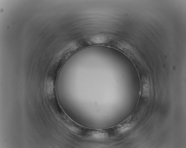 X0000062840555200601201641