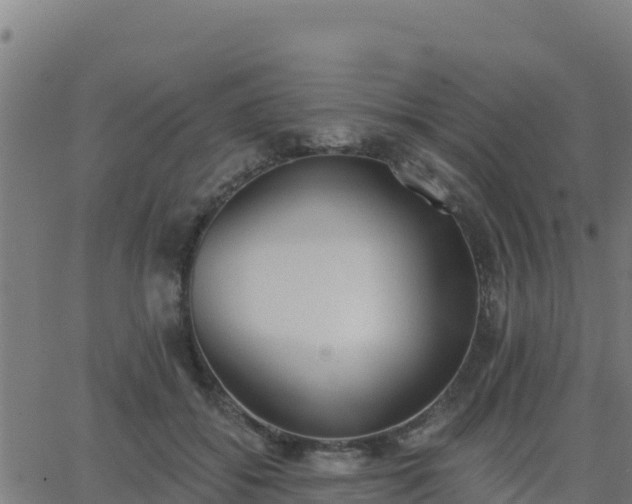 X0000062840556200601201641