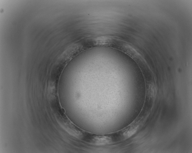 X0000062840557200601201641