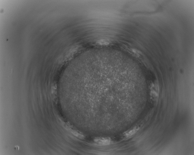 X0000062840559200601201641