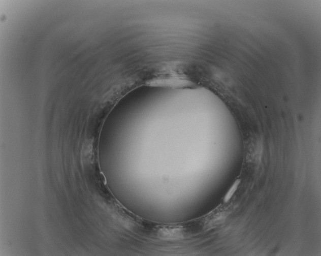 X0000062840560200601201641