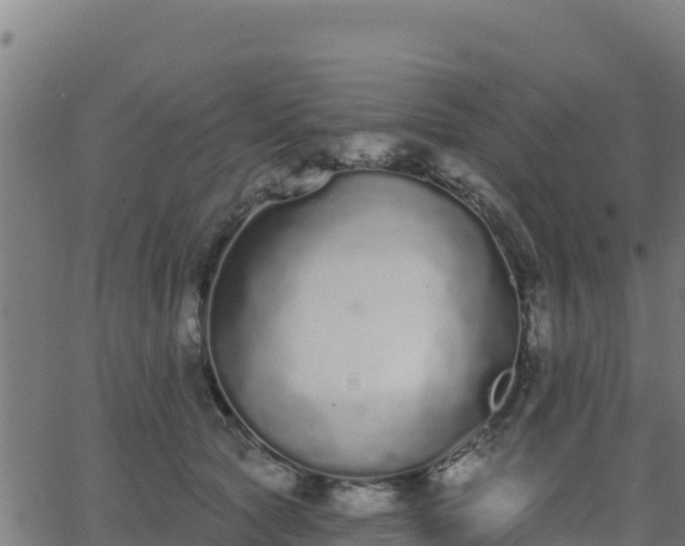 X0000062840561200601201641