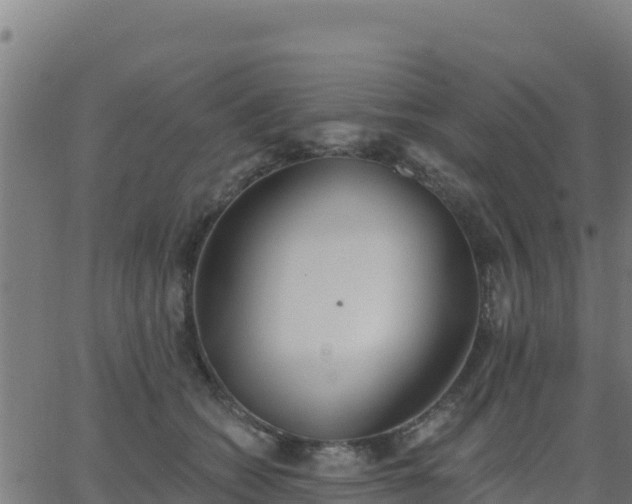 X0000062840562200601201641